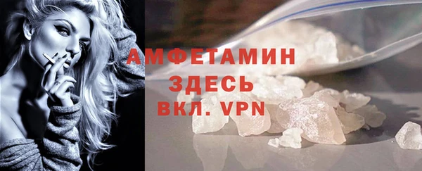 шишки Арсеньев