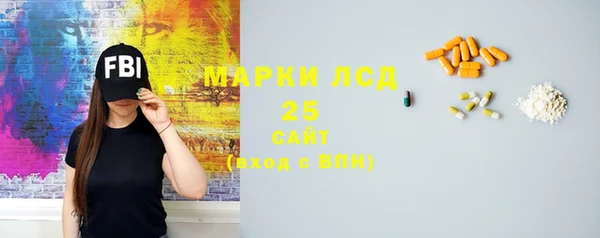 ГАЛЛЮЦИНОГЕННЫЕ ГРИБЫ Аркадак
