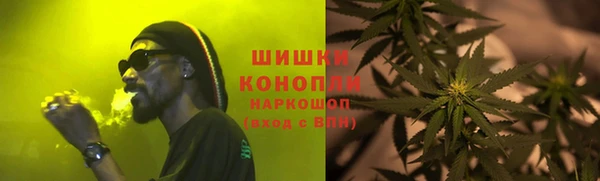 шишки Арсеньев