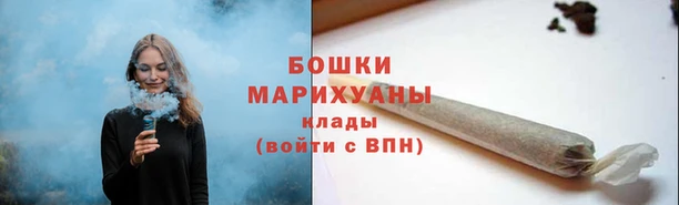 шишки Арсеньев