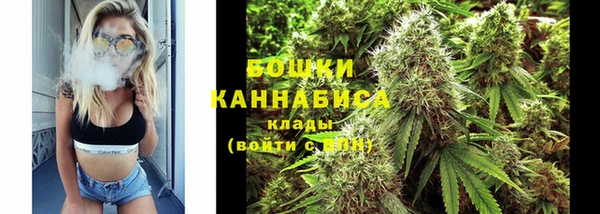 шишки Арсеньев