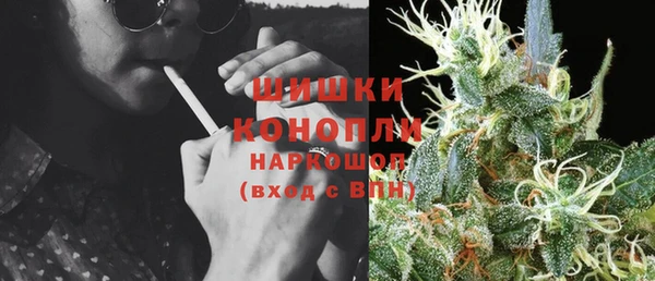 ГАЛЛЮЦИНОГЕННЫЕ ГРИБЫ Аркадак