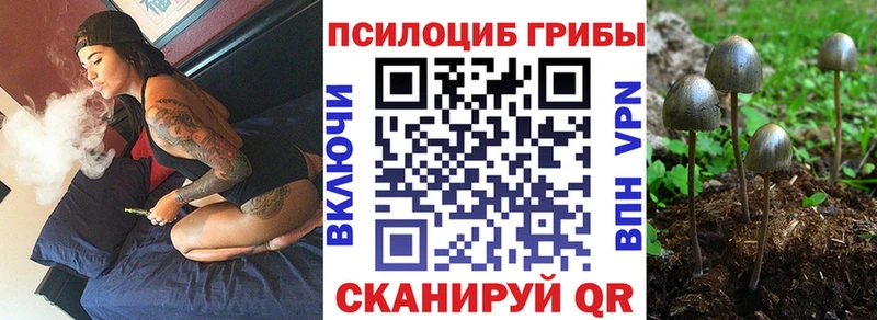 mega сайт  Любань  Псилоцибиновые грибы мицелий 